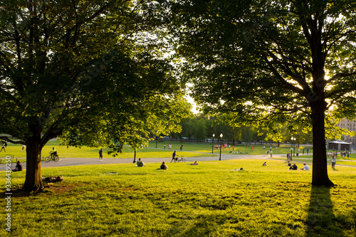 Boston Public Garden photo