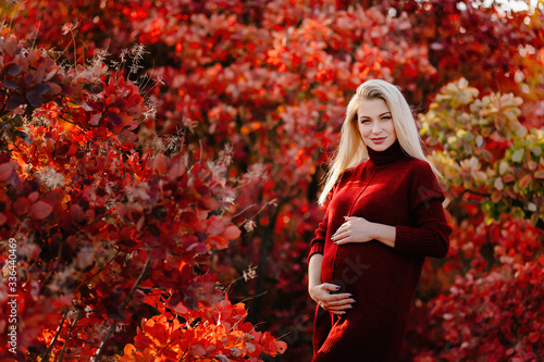 autumn landscape, red and yellow leaves, good sunny weather, family, mom dad and son for a walk, pregnant mother, blonde pregnant girl, joy, happiness, happy family expecting a baby, older brother