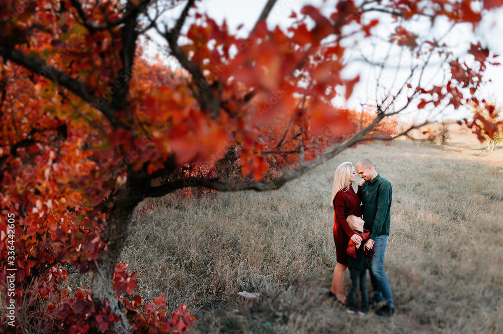 autumn landscape, red and yellow leaves, good sunny weather, family, mom dad and son for a walk, pregnant mother, blonde pregnant girl, joy, happiness, happy family expecting a baby, older brother