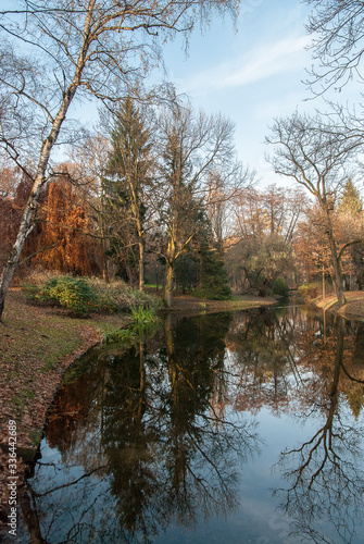 Autumn forest and river
