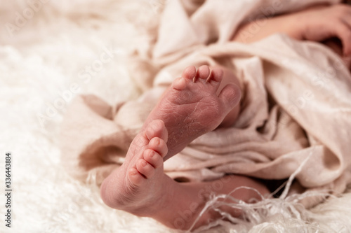small baby foots of a newborn children. Photo of newborn baby fee