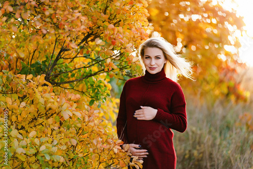 Beautiful pregnant girl blonde on nature in the yellow and red leaves of autumn