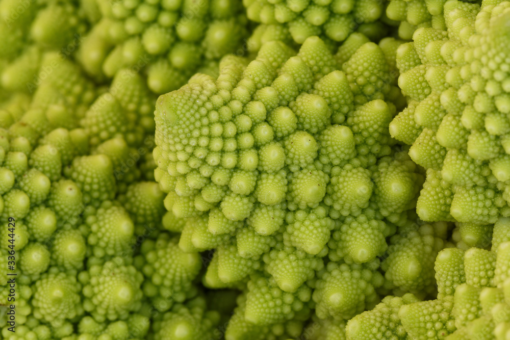 Close-up of natural fractals of Romanesco broccoli (also known as Roman cauliflower, Broccolo Romanesco, Romanesque cauliflower or simply Romanesco). Abstract full frame photo. Close-up of natural fractals of Romanesco broccoli (also known as Roman cauliflower, Broccolo Romanesco, Romanesque cauliflower or simply Romanesco). Abstract full frame photo.