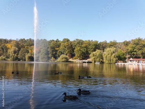 fountains in the park