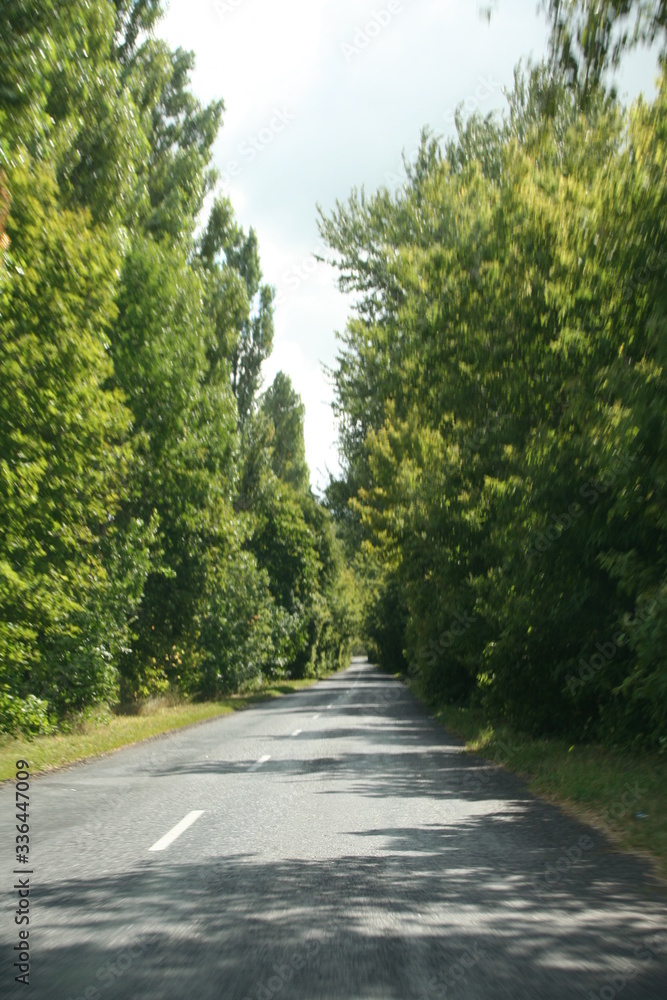 
beautiful road
