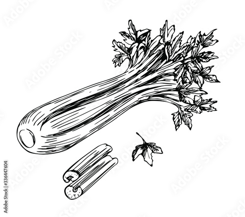 Celery with cut stems in line art style.