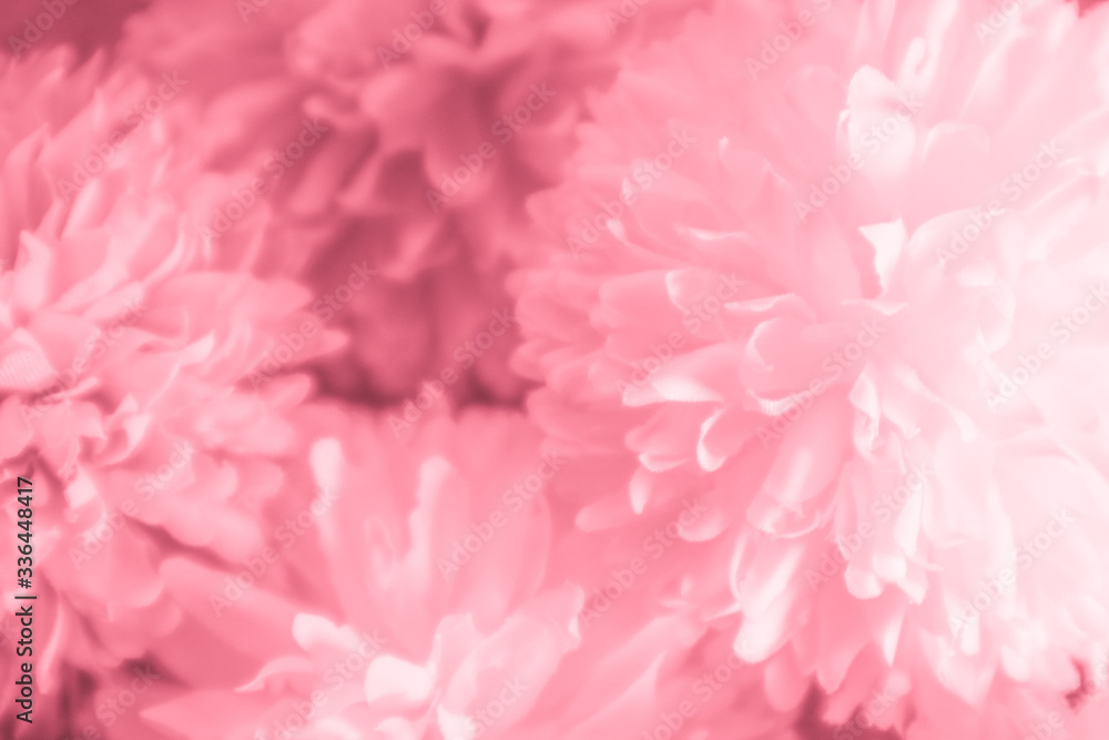 Beautiful abstract color pink and red flowers graphic on white background and light red and pink flower frame and pink leaves texture, pink background, red banner Beautiful abstract color pink and red flowers graphic on white background and light red and pink flower frame and pink leaves texture, pink background, red banner