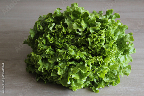 salade / batavia photo