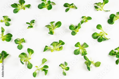 Mash salad on white background.