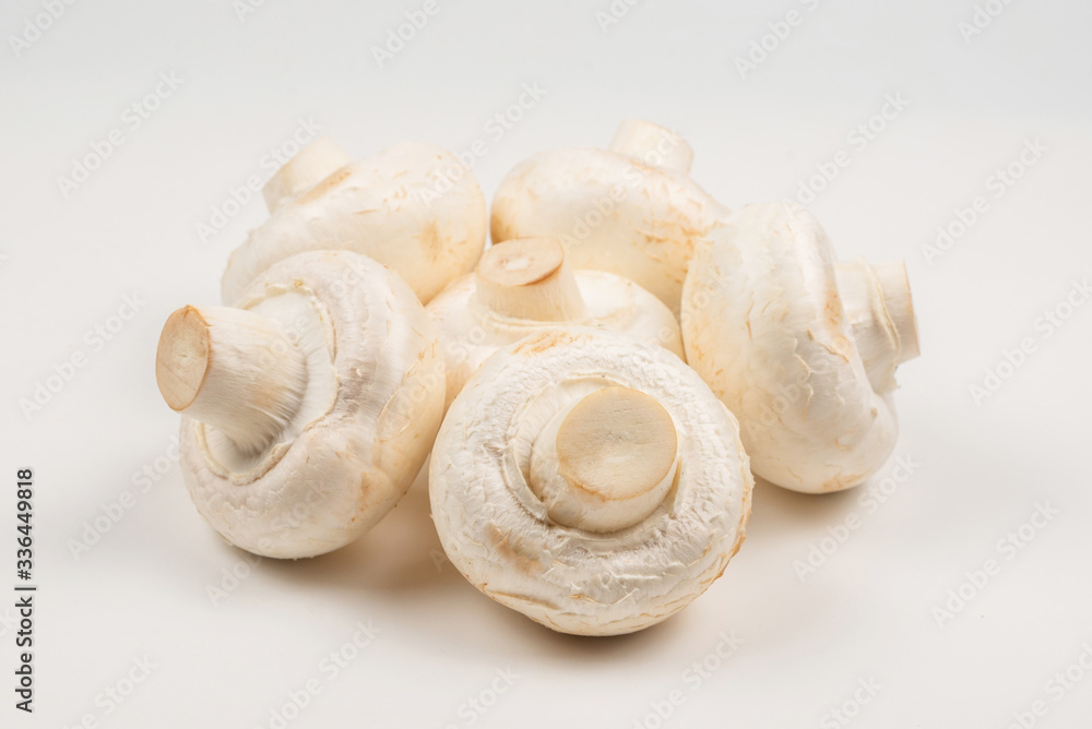 Champignon mushroom isolated on white background. Champignon mushroom isolated on white background.