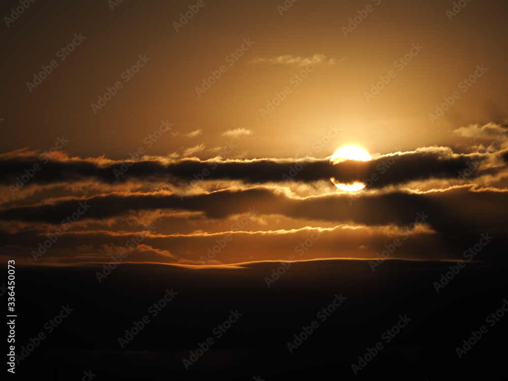 Fototapeta premium OLYMPUS DIGITAL CAMERA