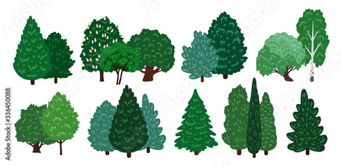 Groups of coniferous and deciduous trees. Elements for a forest and park landscape. Collection of cartoon elements. Vector illustration  isolated on a white background.