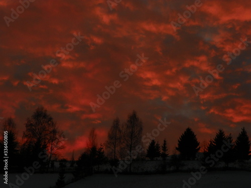 sunset in the forest