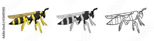 Profile view wasps set in different styles isolated illustration on white background