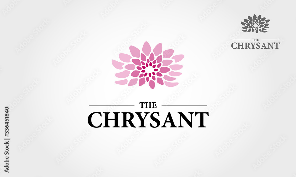 The Chrysant Vector Logo Template. Pink flower natural elegance illustration design with blooming chrysanthemum symbol. This logo clean and unique concept for a yoga class, beauty, woman, fashion, etc