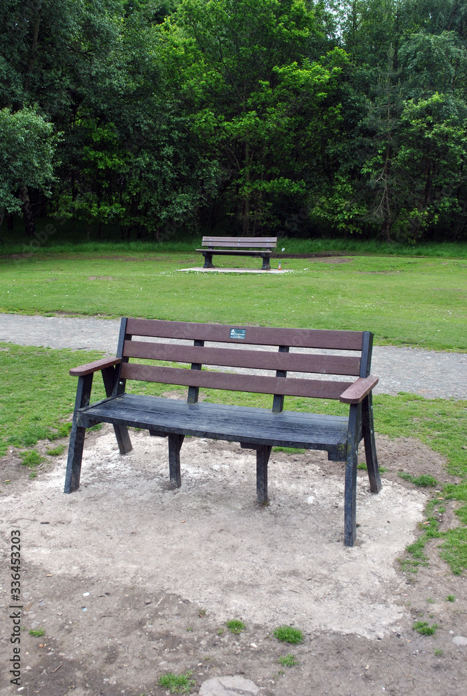 Empty Benches in Public Park 