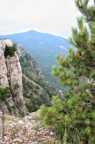 Crimea, Ay-Petri, nature