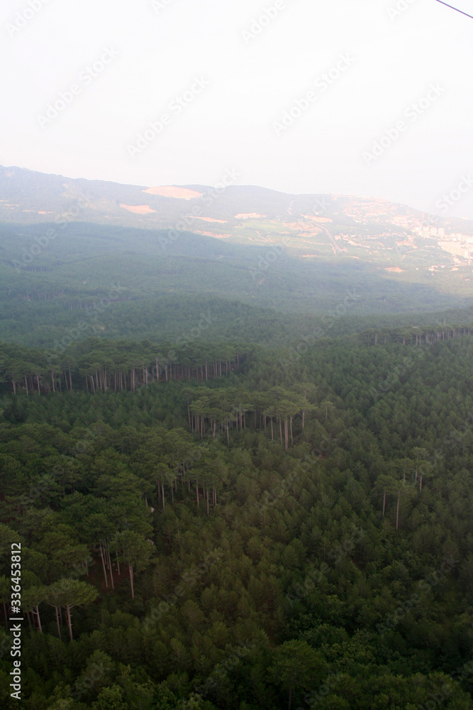 Crimea, Ay-Petri, nature