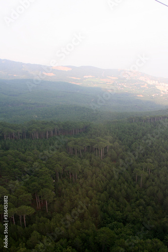 Crimea, Ay-Petri, nature
