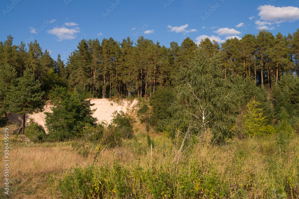 Sand quarry in the forest. Breakage or precipice, fall... Summer landscape