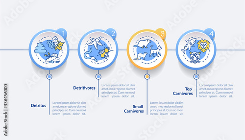Detritus food chain vector infographic template. Detritivores and carnivores presentation design elements. Data visualization with 4 steps. Process timeline chart. Workflow layout with linear icons