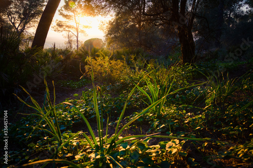 Sunset in the countryside mountains of Spain