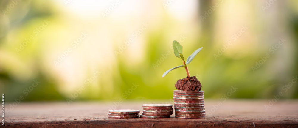 Financial planning, Money growth concept. Coins with young plant on table with backdrop blurred of nature - obrazy, fototapety, plakaty 