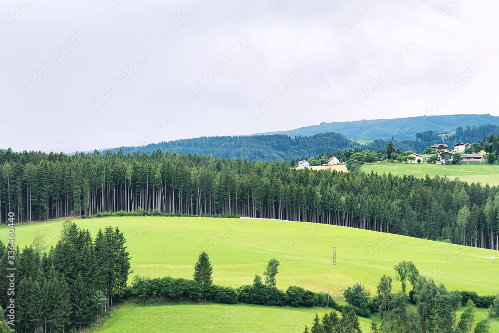 View of manicured alpine meadows against the backdrop of a pine forest and mountains. The concept of landscape, mountains, agriculture.