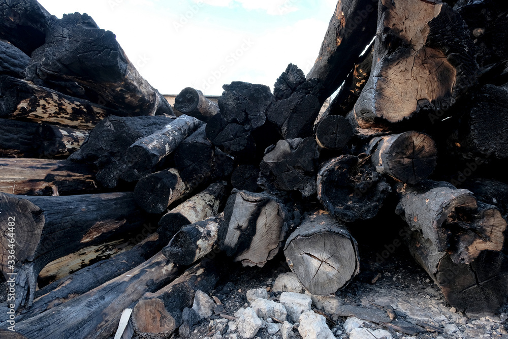 Wood cutting, burning wood, destroying the environment.Area of illegal