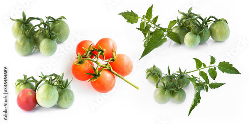Fototapeta Naklejka Na Ścianę i Meble -  set of tomato on white background. Lycopersicon esculentum.