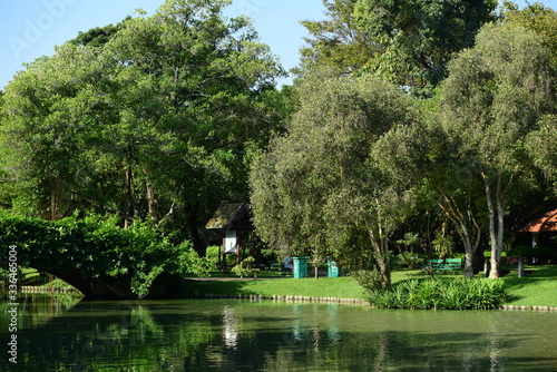 Colorful flowers in nature. flowers in the garden Blooming in the Formal Garden. Park. Beautiful Garden	