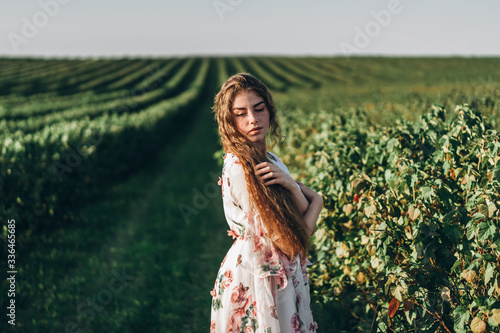 beautiful woman with long curly hair and freckles face on currant field background. Girl in a light dress walks in the summer sunny day