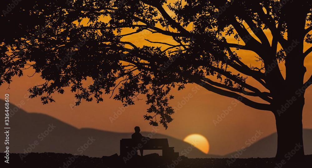 The silhouetted man sitting under the tree on the bench watching amazing orange sunset.