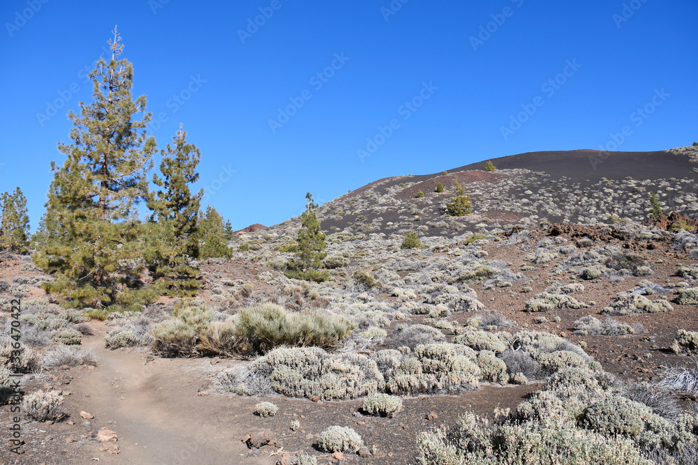 espagne, Tenerife, la montagne Samara dans le parc national du El Teide