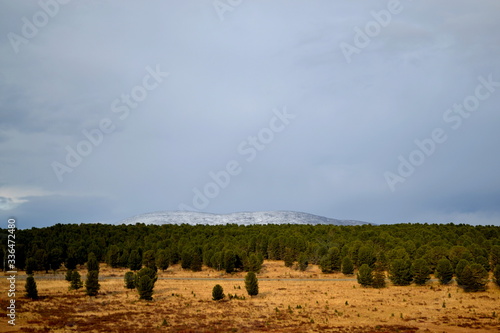 landscape, field, sky, grass, summer, nature, rural, hay, agriculture, farm, meadow, blue, clouds, countryside, green, cloud, tree, straw, harvest, country, view, fields, horizon, bale, scene
