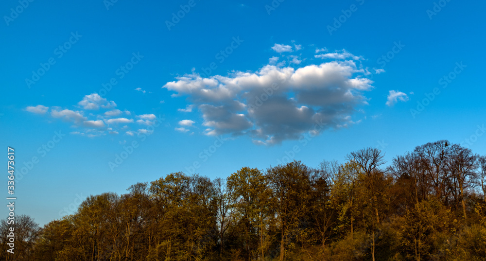 Wattewölkchen am blauen Himmel, Cumulus Wattewölkchen am blauen Himmel, Cumulus