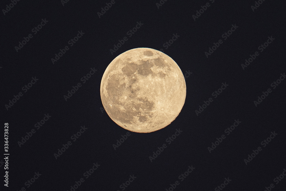 Fototapeta premium Moon #1