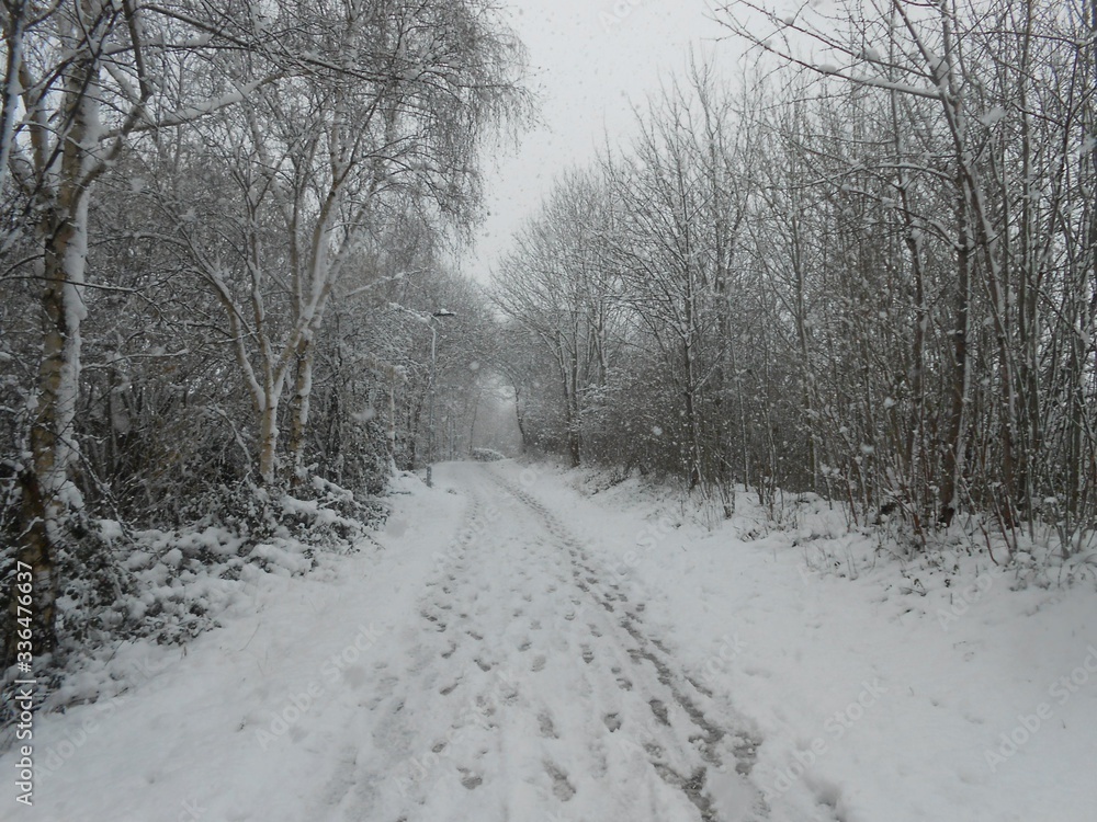 Obraz premium winter wonderland