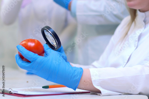 Laboratory workers examining fruits and vegetables and making an