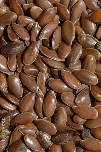 A solid background of peeled flaxseed macro