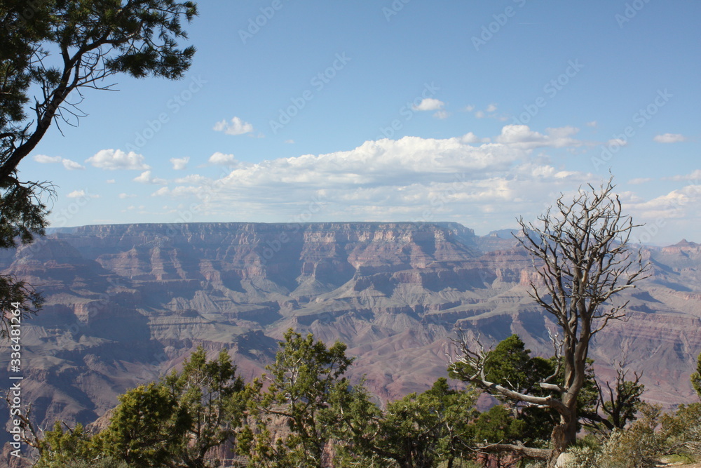 Fototapeta premium Wielki Kanion 37