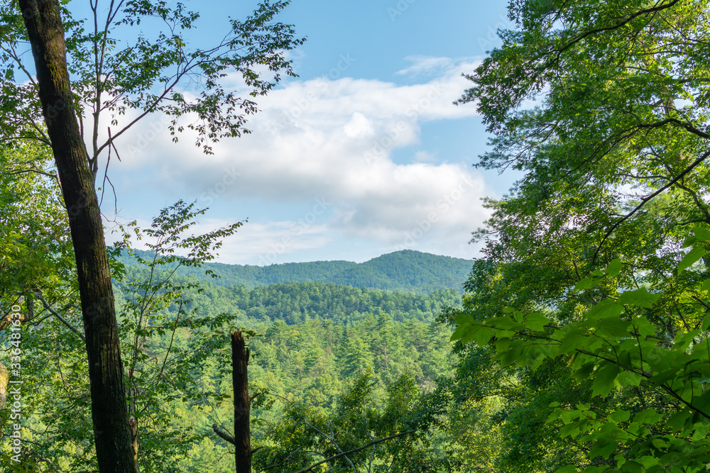 Fototapeta premium Smoky Mountains landscape along the trails. Smoky Mountains National Park, Tennessee, USA