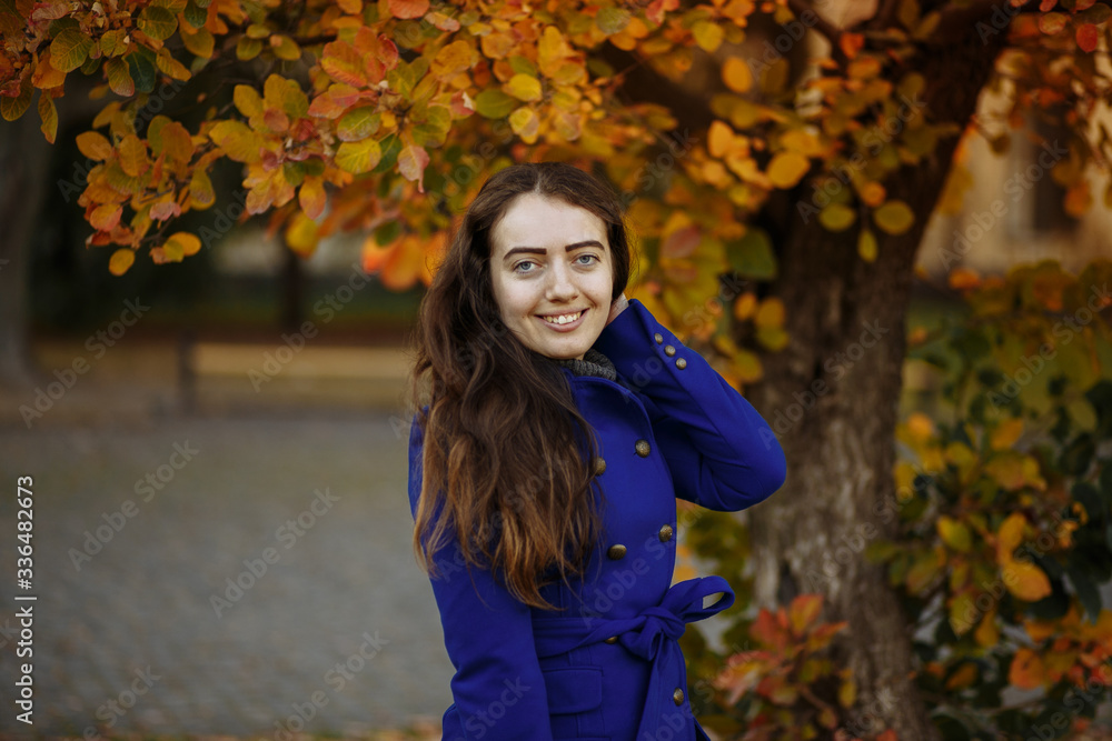 Autumn in the park. gold autumn. girl posing in autumn park Autumn in the park. gold autumn. girl posing in autumn park