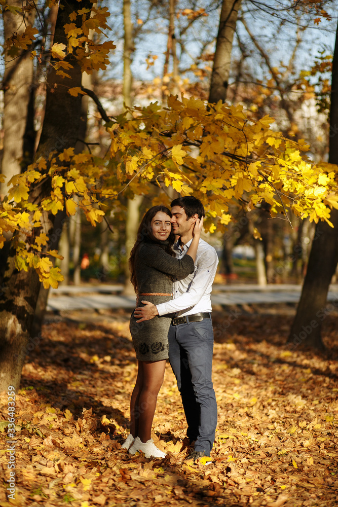 guy with a girl cuddling against a background of yellow foliage. Autumn in the park. sunny day guy with a girl cuddling against a background of yellow foliage. Autumn in the park. sunny day