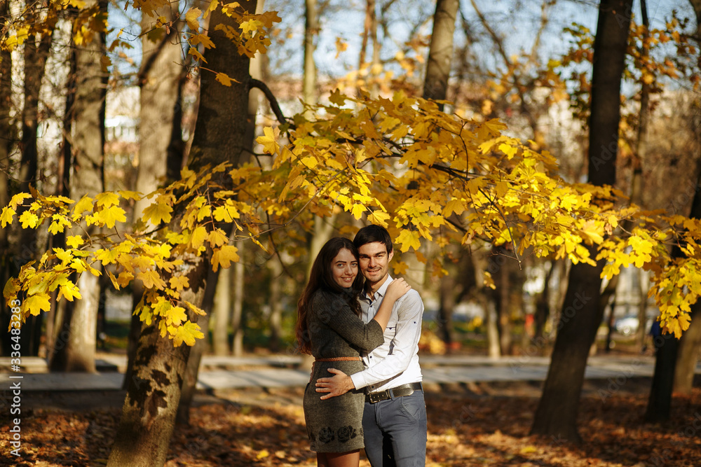 guy with a girl cuddling against a background of yellow foliage. Autumn in the park. sunny day guy with a girl cuddling against a background of yellow foliage. Autumn in the park. sunny day