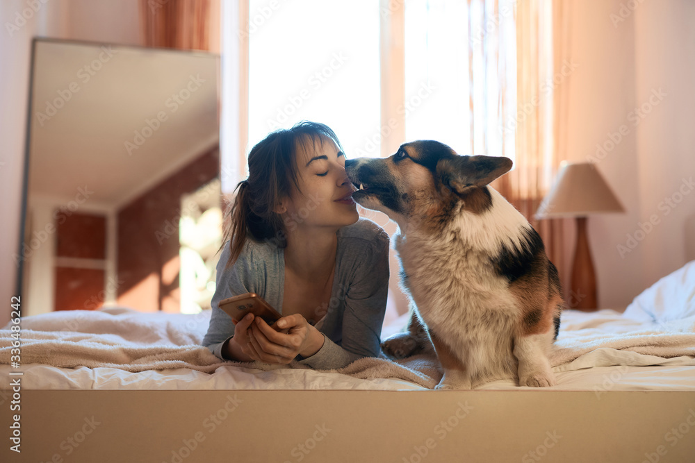 Joyful young woman with dog Welsh Corgi lying on bed in bedroom in morning. Funny pet kissing his owner in nouse. Concept stay at home, friendship with pet, meet morning in bed.