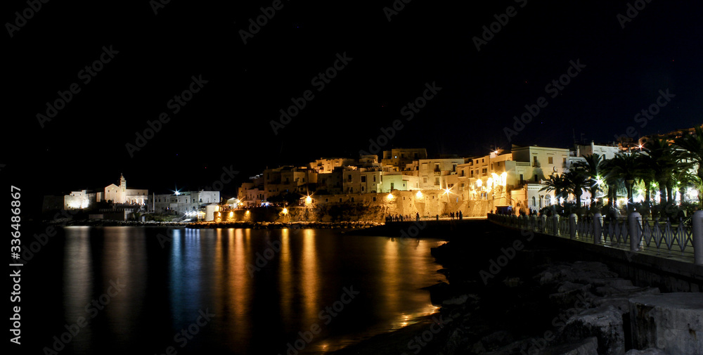 Fototapeta premium night view of the city of gargano