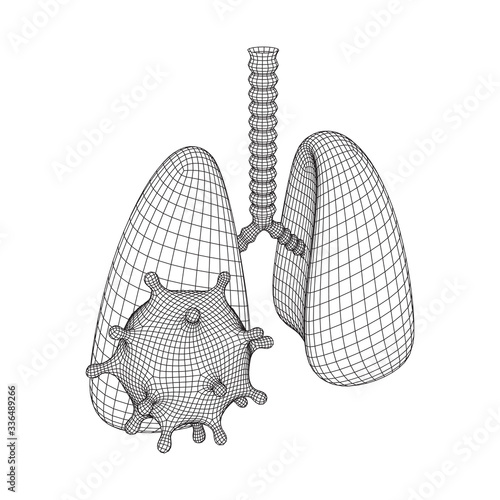 Corona Virus and Lungs with trachea bronchi internal organ human. Covid virus pulmonology medicine science concept. Wireframe low poly mesh vector illustration.