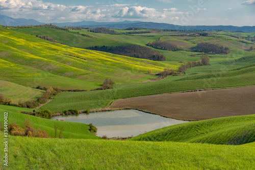 panorama of the Chianti hills in Tuscany © DD25