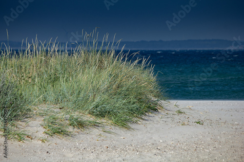 Denmark  Danish Riviera with beach clear skies  greenery